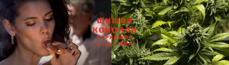 Бошки марихуана OG Kush  наркошоп  Звенигород 